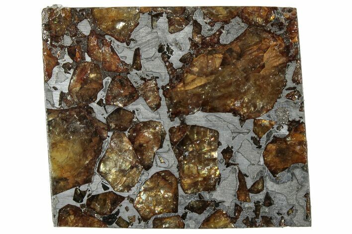 Brahin Pallasite Meteorite ( g) Slice - Belarus #307415